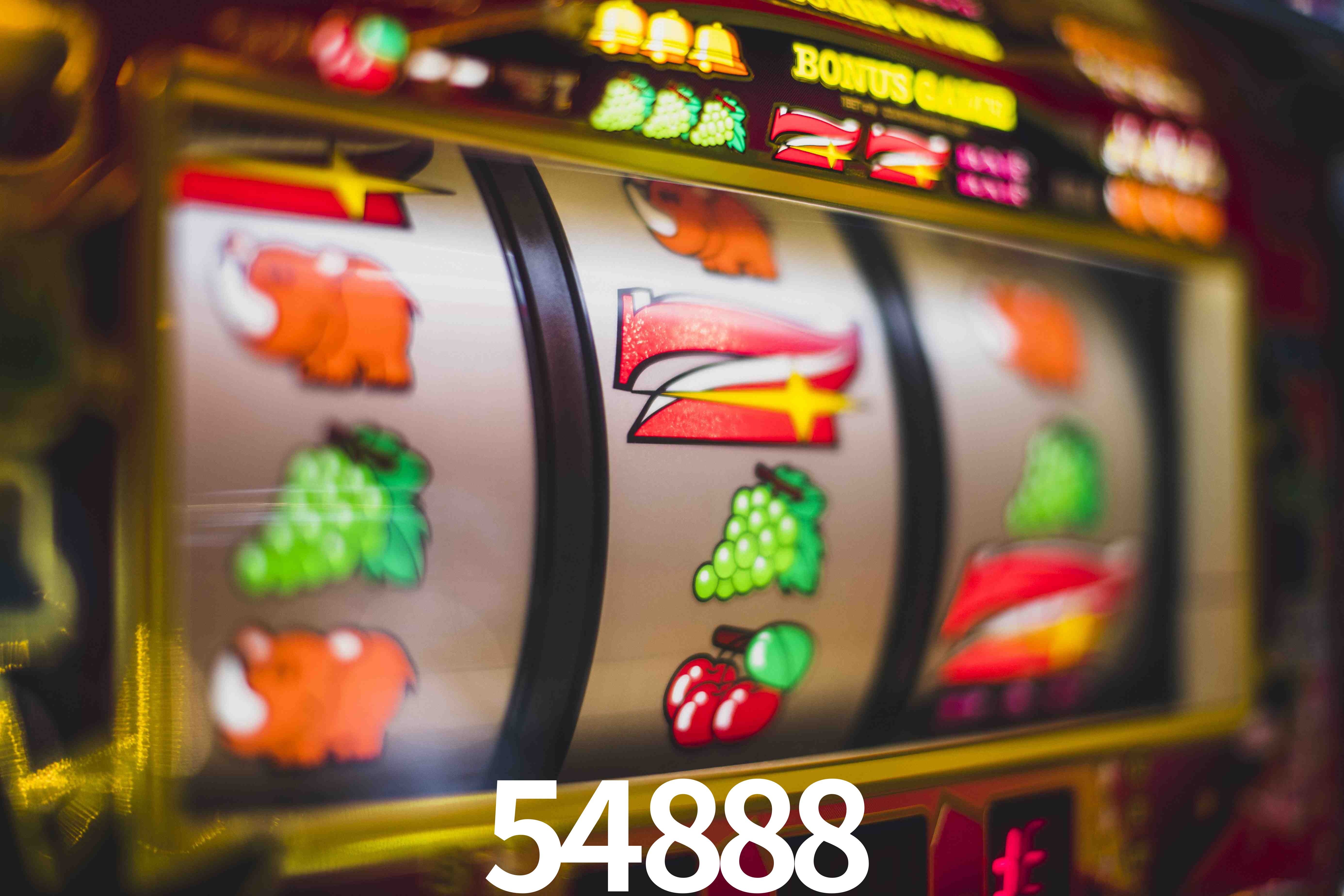 Statistics 54888